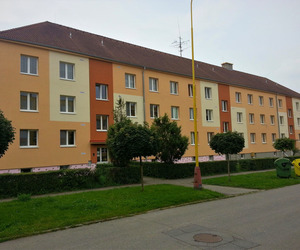Zateplenie stropov pivníc